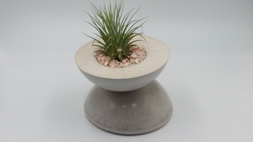 Herbrun Žluva hajní - magnetická dekorace