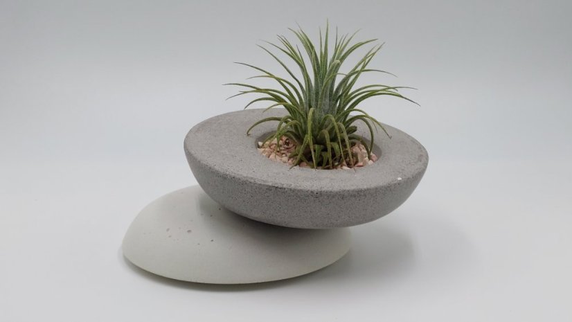 Herbrun Slavík obecný - magnetická dekorace