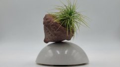 Herbrun Rehek zahradní -  magnetická dekorace