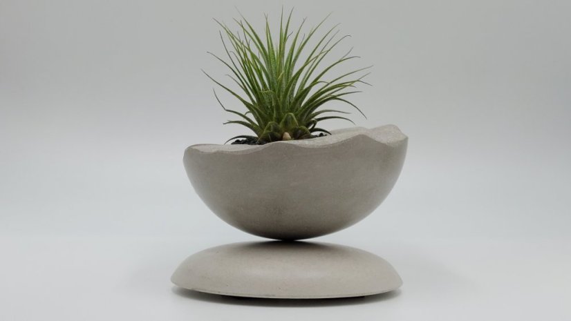 Herbrun Stehlík obecný - magnetická dekorace