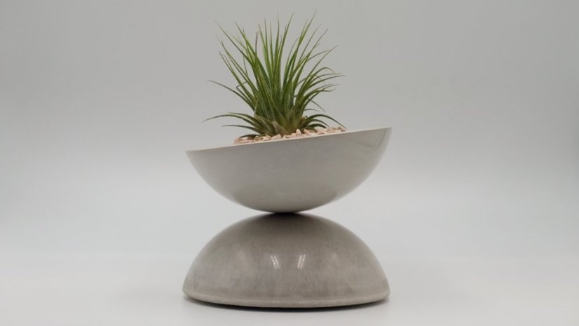 Herbrun Žluva hajní - magnetická dekorace