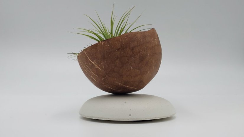 Herbrun Linduška luční - magnetická dekorace