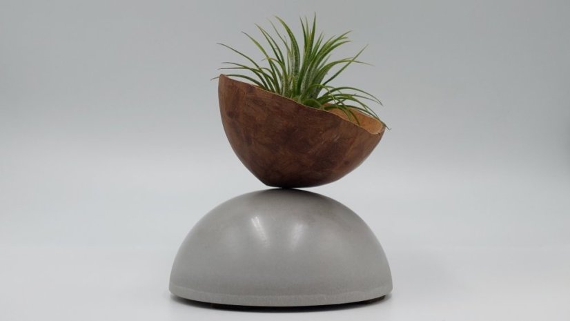 Herbrun Konipas horský - magnetická dekorace