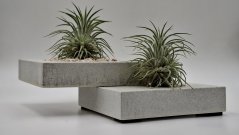 Herbrun Krahujec obecný - magnetická dekorace