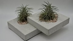 Herbrun Krahujec obecný - magnetická dekorace