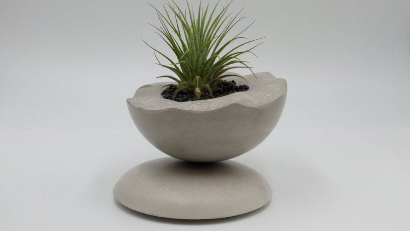 Herbrun Stehlík obecný - magnetická dekorace