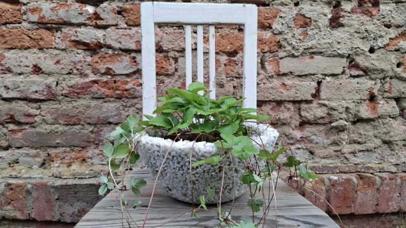 Herbrun Elara – prodyšný mrazuvzdorný kamenný květináč