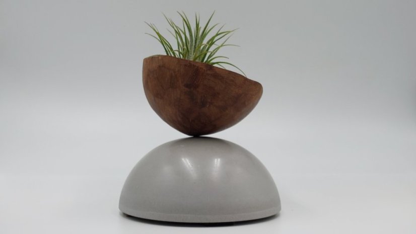 Herbrun Konipas horský - magnetická dekorace