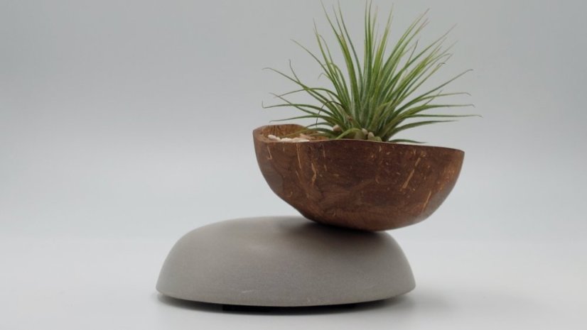 Herbrun Jiřička obecná - magnetická dekorace