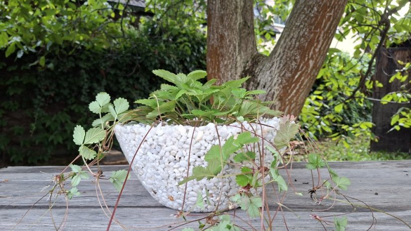 Herbrun Elara – prodyšný mrazuvzdorný kamenný květináč