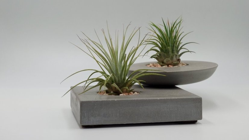 Herbrun Puštík obecný - magnetická dekorace