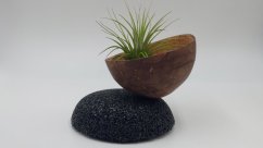 Moderní levitující magnetický stojánek na air plant rostliny v interiéru