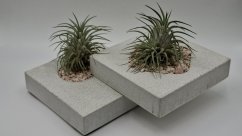 Herbrun Krahujec obecný - magnetická dekorace