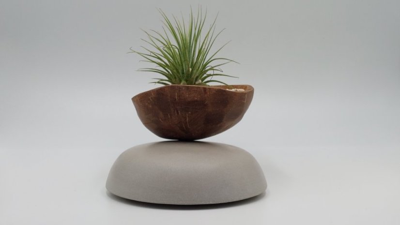 Herbrun Jiřička obecná - magnetická dekorace