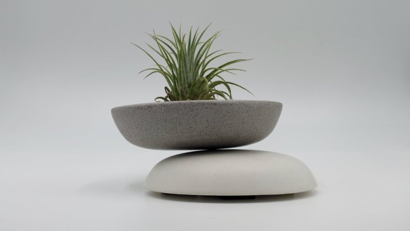 Herbrun Slavík obecný - magnetická dekorace