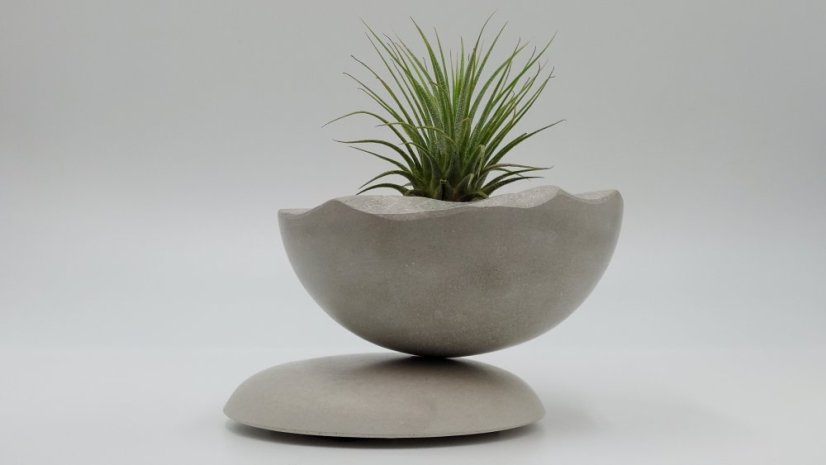 Herbrun Stehlík obecný - magnetická dekorace